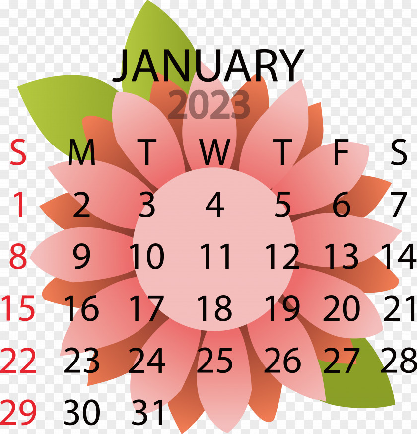 Flower Line Petal Calendar Geometry PNG