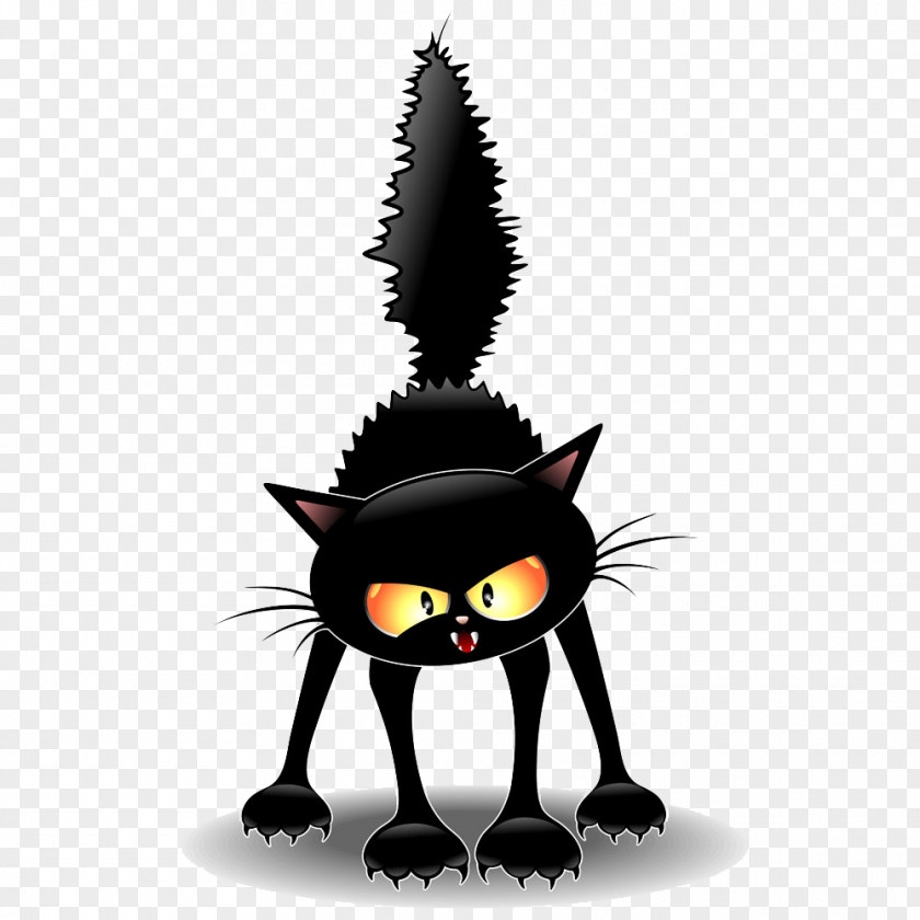 Frightened Cat Black Kitten Witchcraft PNG