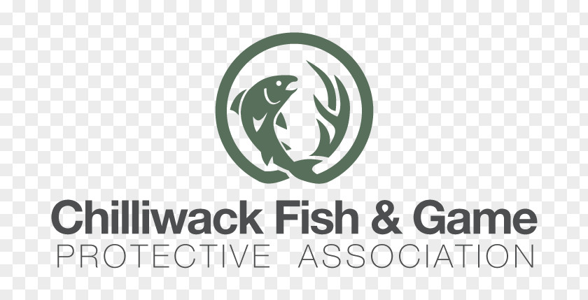Game Fish Logo Brand Trademark PNG
