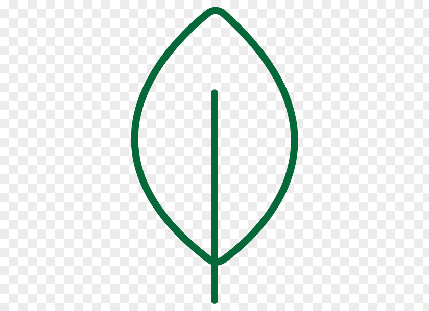 Line Angle Number Leaf PNG