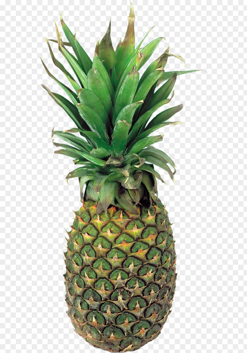 Pineapple Fruit Clip Art PNG