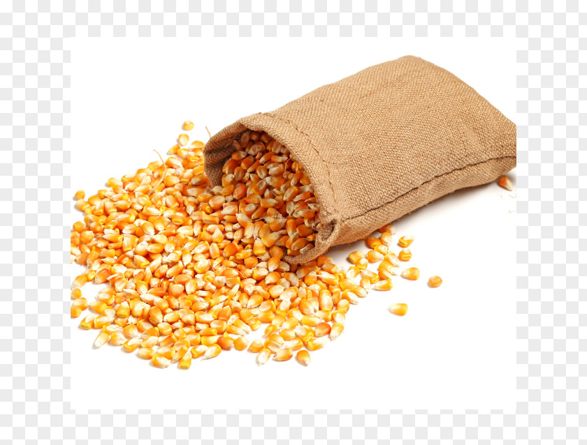 Bagged Corn Maize Animal Feed Food Cornmeal PNG