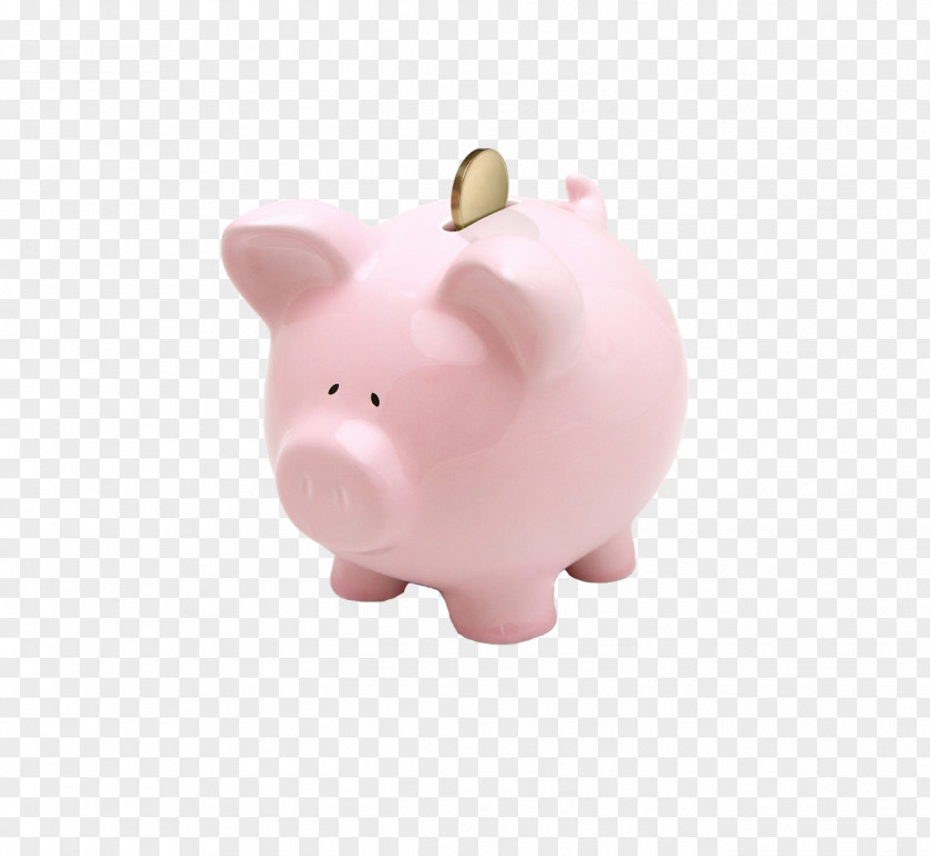 Bank Piggy Money Finance Saving PNG