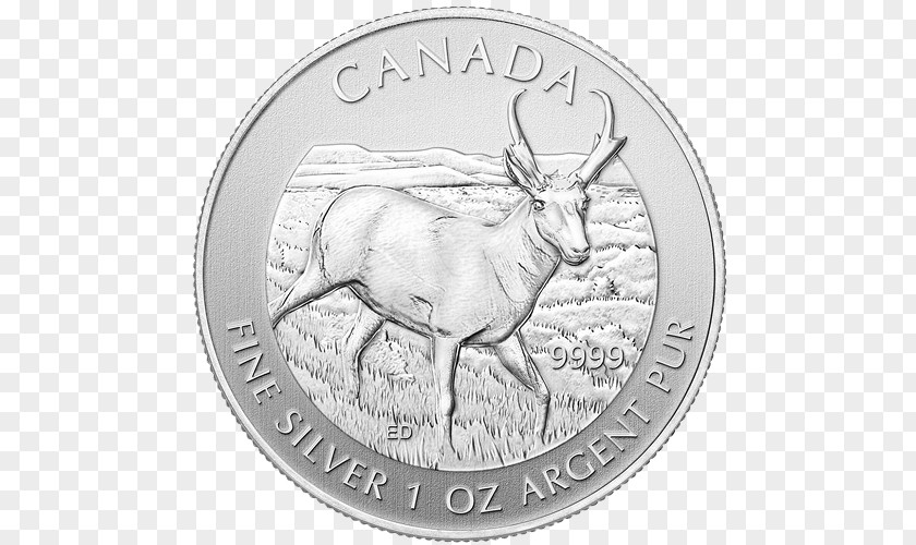 Canada Pronghorn Canadian Wildlife Bullion Coin Royal Mint PNG