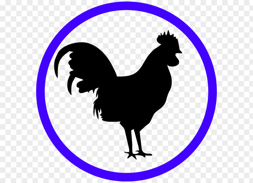Chicken Wall Decal Sticker Rooster PNG