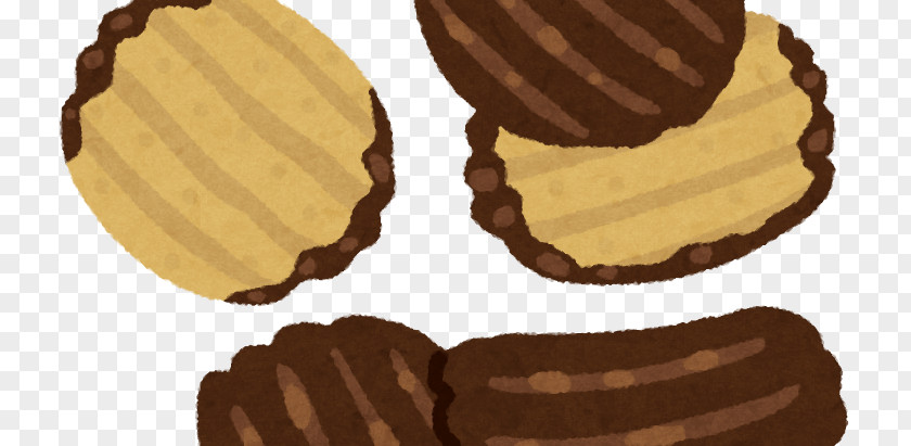 Chocolate Chips Praline Wafer Cookie M PNG