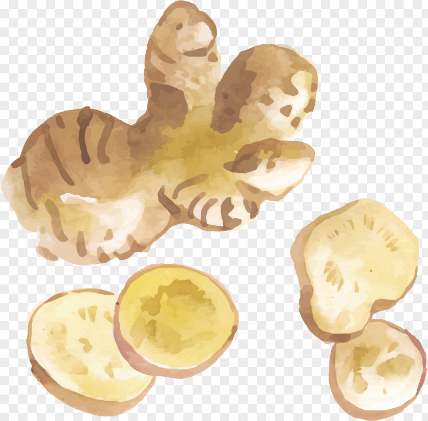 Ginger Slices Tea Illustration PNG