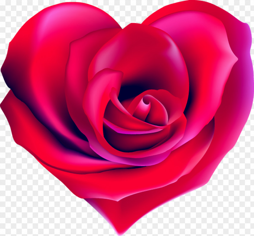 Heart Rose Shape Drawing PNG