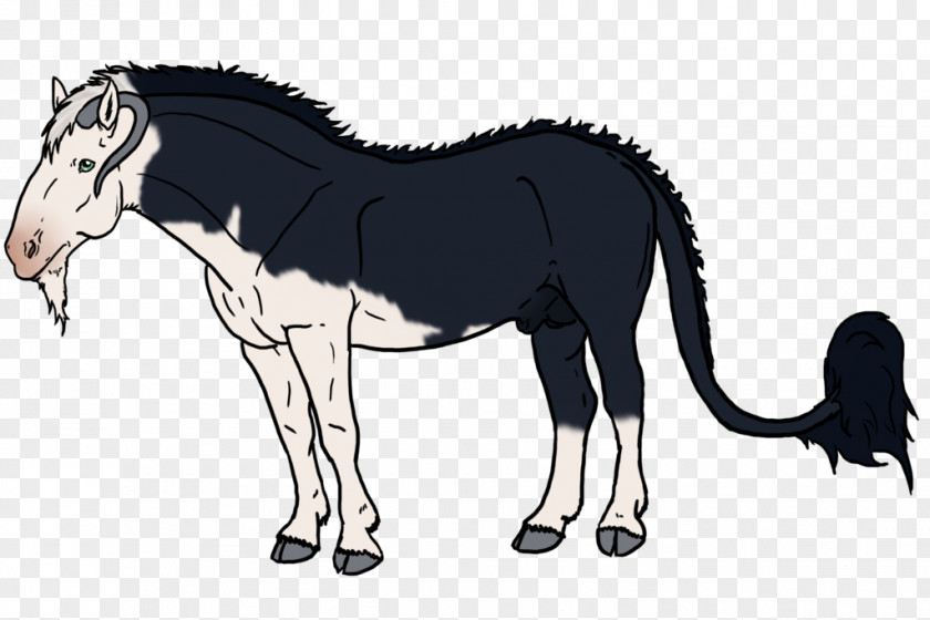 Mustang Mule Foal Stallion Colt PNG