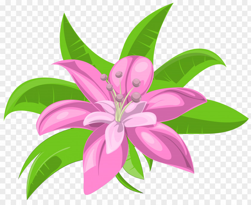 Plants Pink Flowers Clip Art PNG