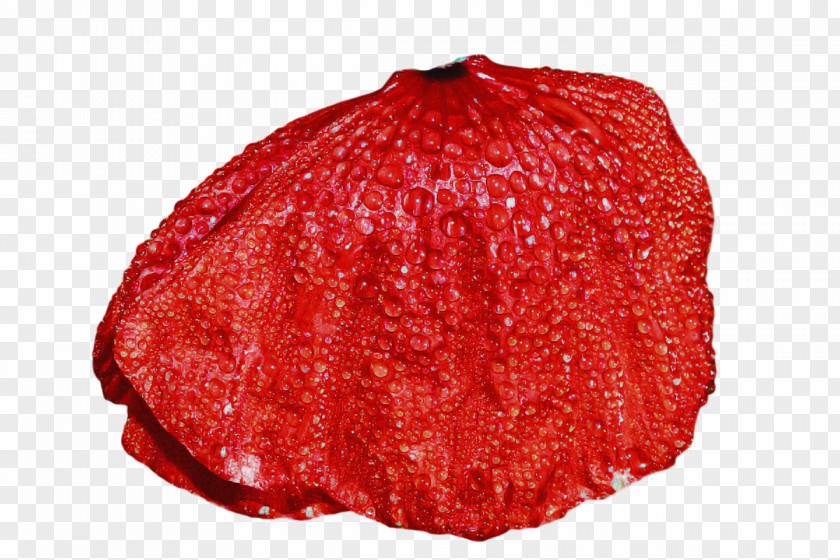 Strawberry PNG