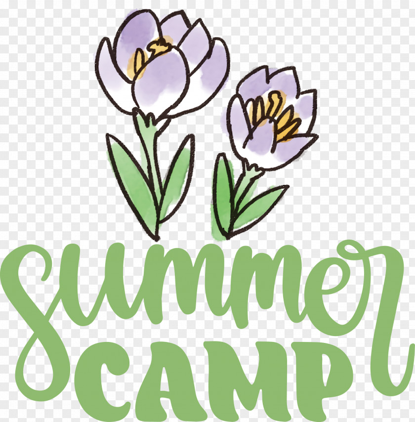 Summer Camp PNG