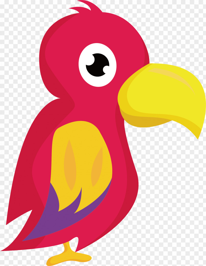Cartoon Parrot Vector Beak Bird Illustration PNG