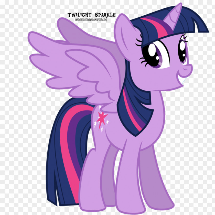 Lovely Pony Twilight Sparkle Pinkie Pie Rarity Rainbow Dash PNG