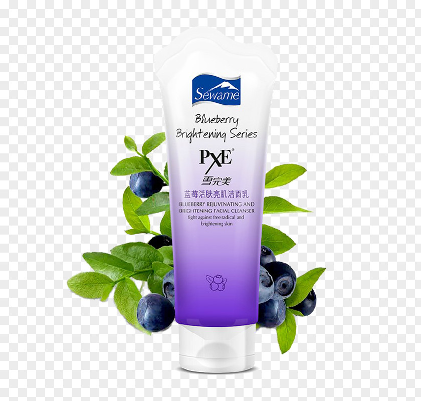 Sewame Blueberry Cleanser Smoothie Axe7axed Palm Fruit PNG
