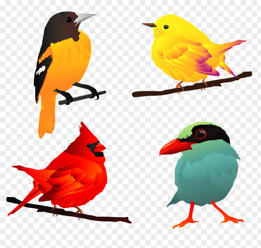 Bird European Robin Clip Art PNG