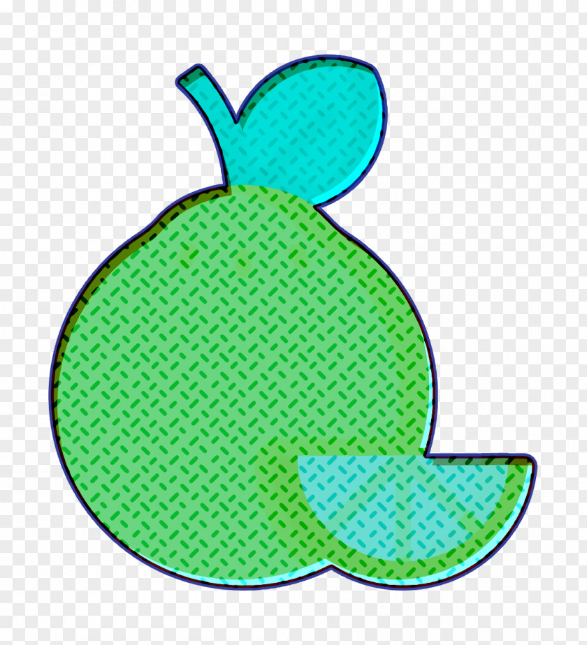 Grocery Icon Fruit Orange PNG