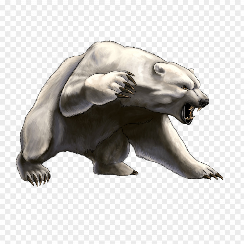 White Angry Bear Image Polar Brown Clip Art PNG