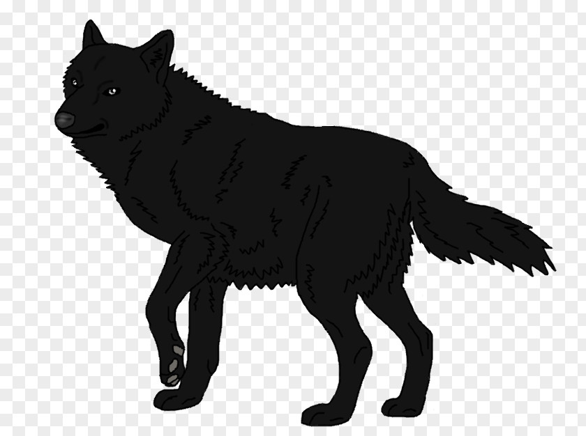 Wolf Schipperke Arctic Mexican Black Fox PNG