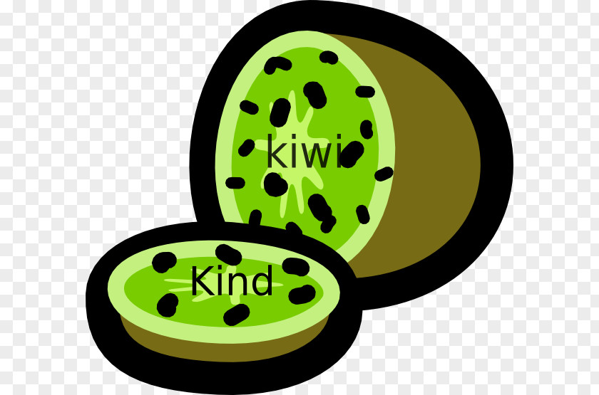 Kiwi Little Spotted Kiwifruit Clip Art PNG