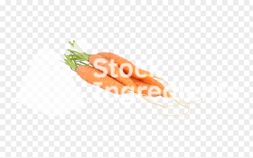 Baby Carrot PNG