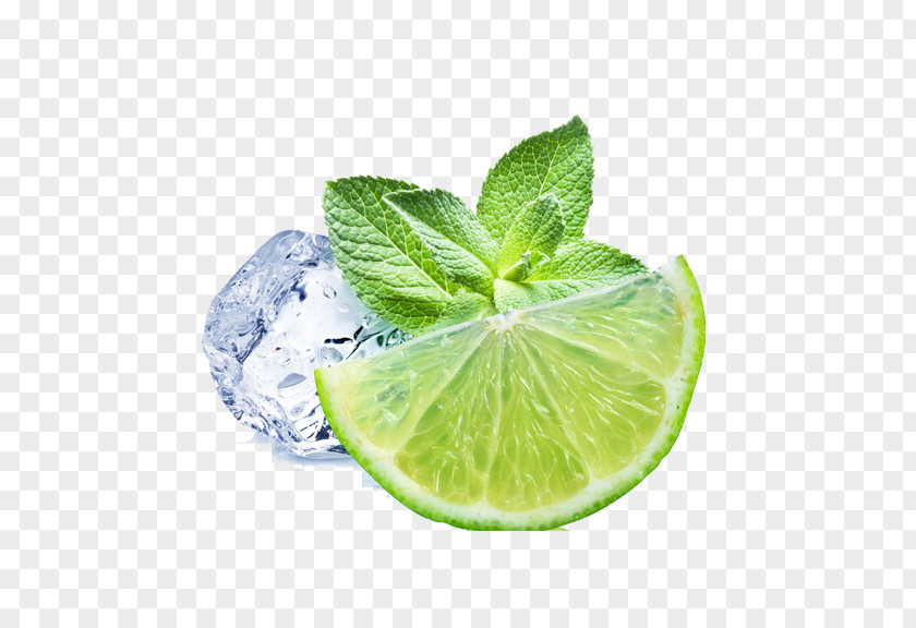 Lemon Ice Juice Lemonade Mint Beebalm PNG