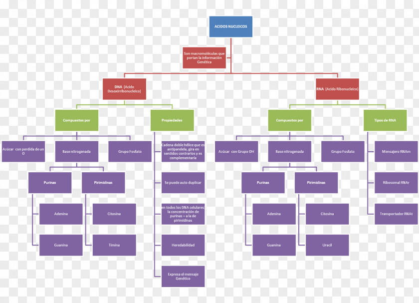 Conceptual Concept Map Chemical Property Matter Chemistry PNG