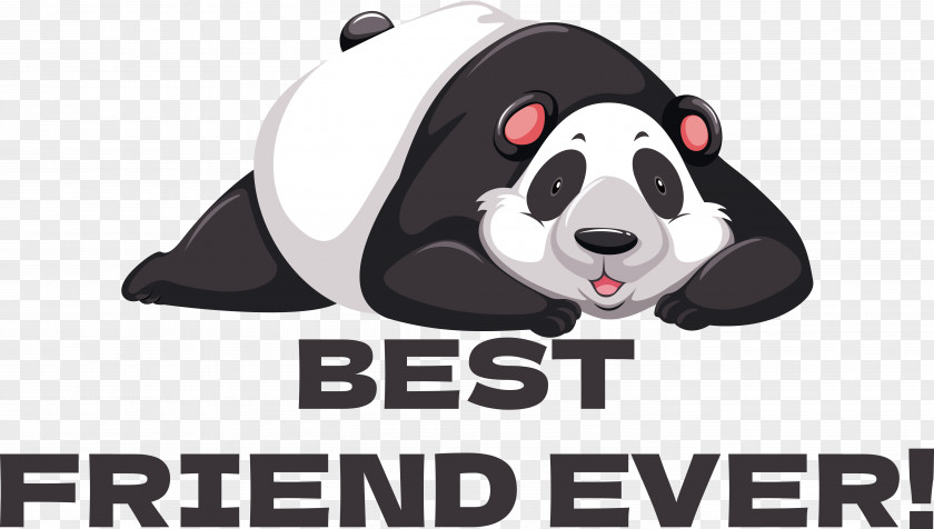 Giant Panda Bears Logo Font Snout PNG