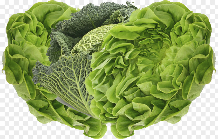 Lettuce San Luis Valley Organic Food Vegetable Broccoli PNG