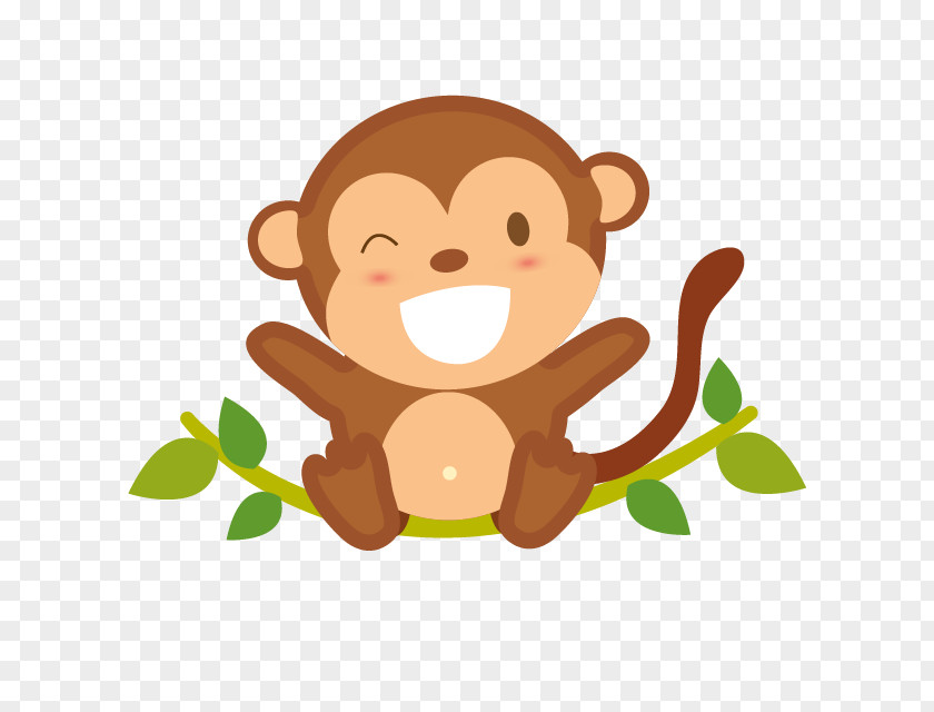 Monkey Cartoon Drawing PNG