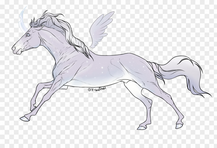 Mustang Mane Pony Foal Stallion PNG