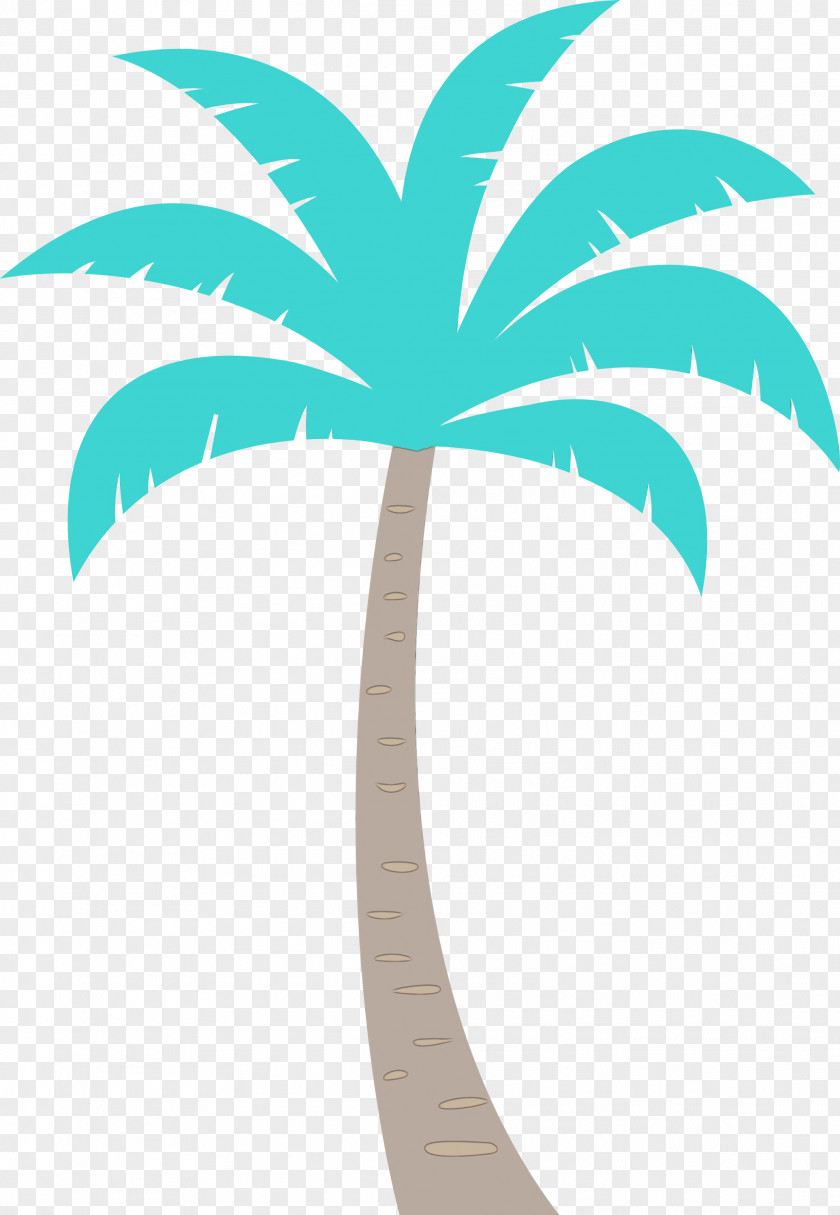 Palm Trees PNG