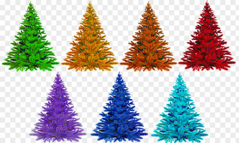 Pine American Larch Christmas Tree PNG