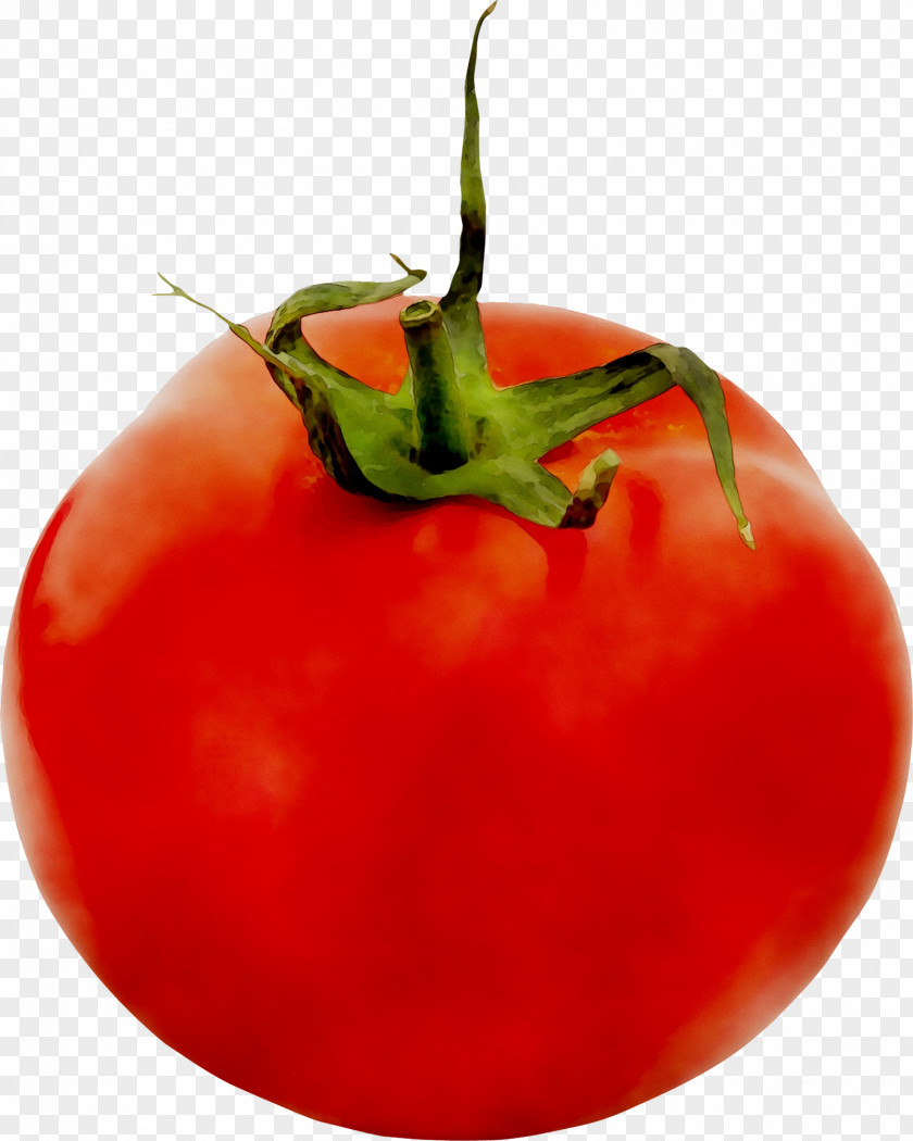Plum Tomato Bush Diet Food PNG