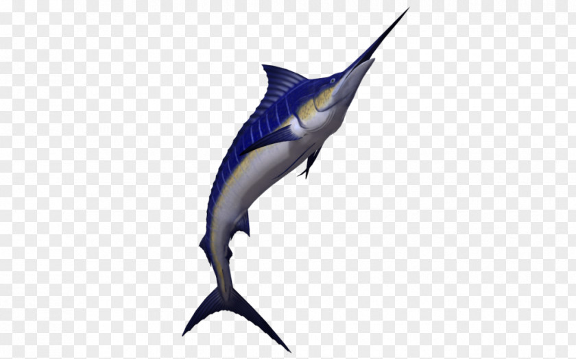 Shark Swordfish Cartilaginous Fishes Marine Mammal PNG