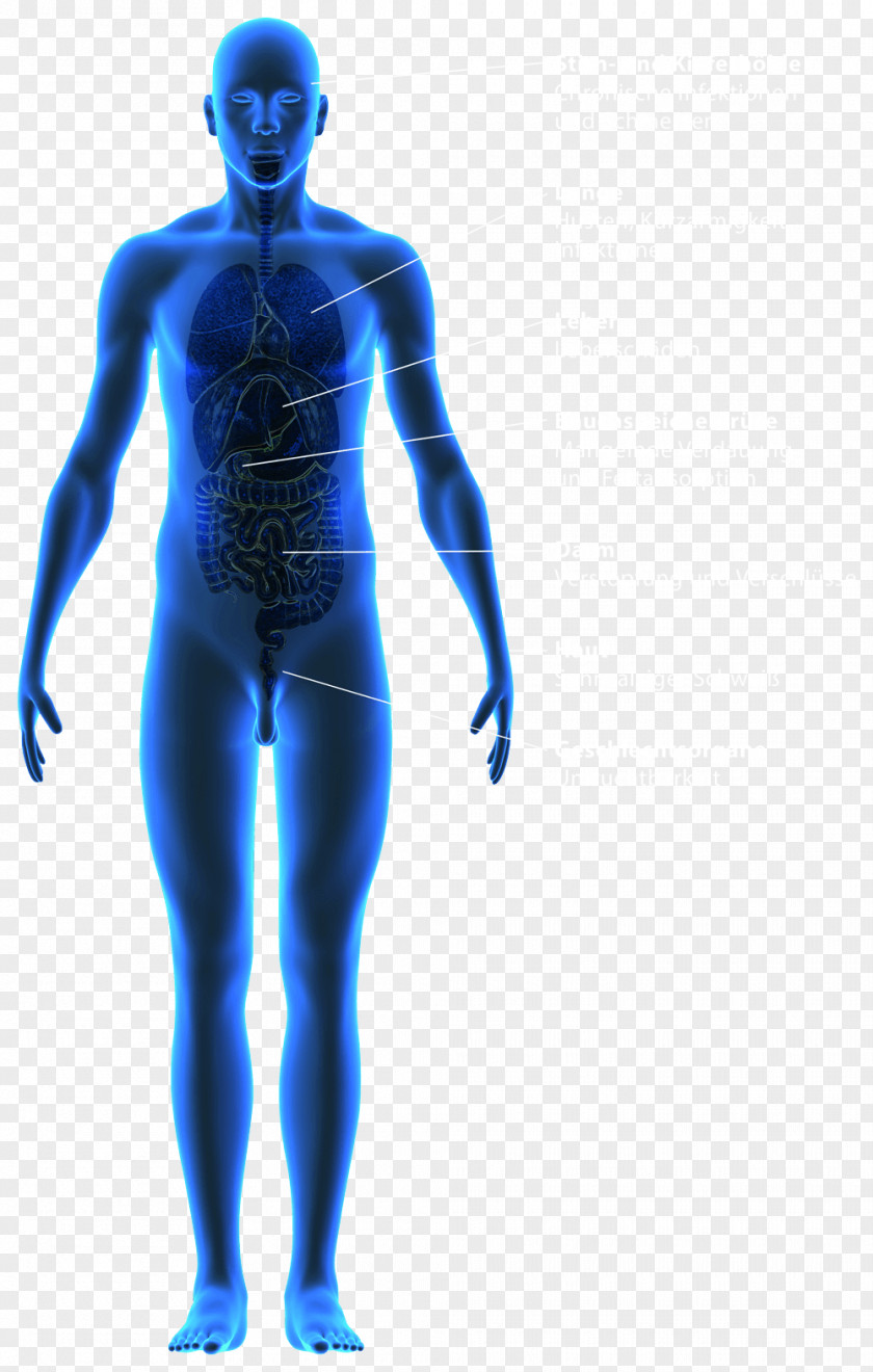 Typing Box Human Body Shoulder Hip Arm Neck PNG