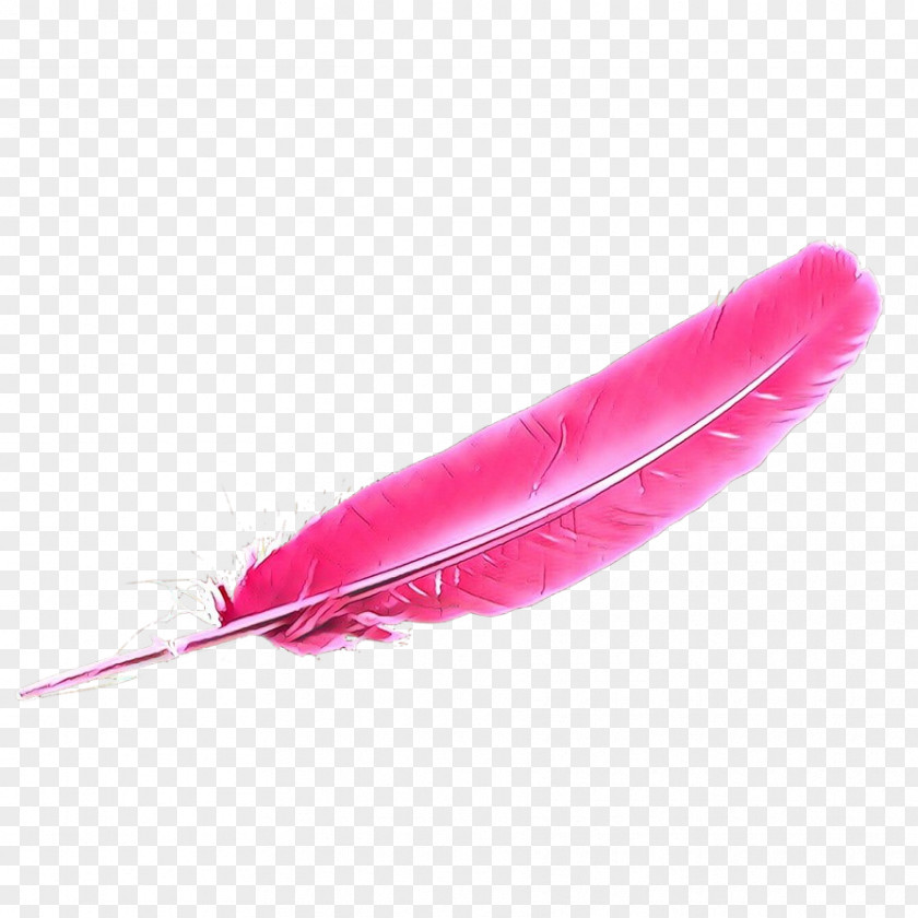 Writing Implement Pen Feather PNG