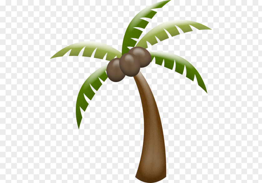 Arecaceae Clip Art PNG