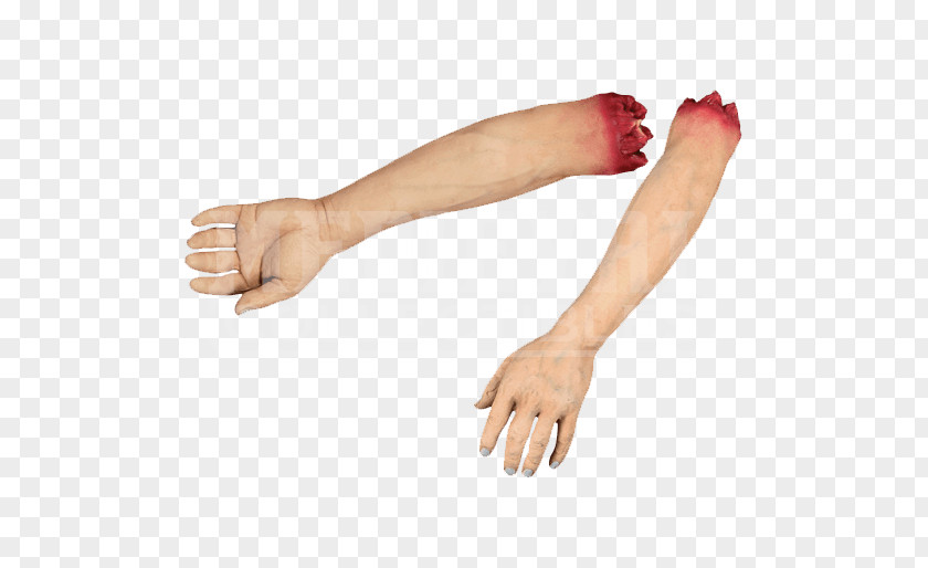 Arm Human Body Limb PNG body Limb, arm clipart PNG