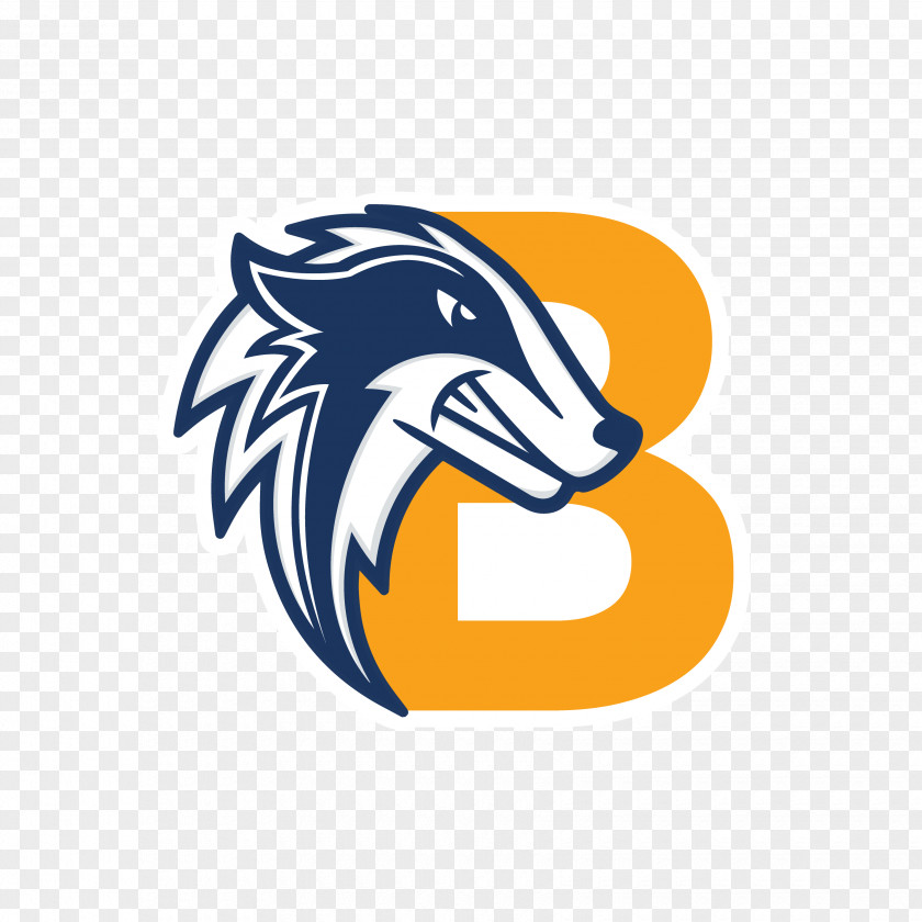Burnin' Up Logo Graphic Design Believe Memphis Academy Brand Education PNG