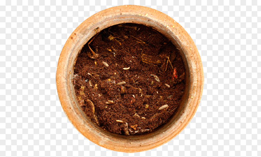 Compost Ingredients Salve Pharmacy Waste Pharmaceutical Drug PNG