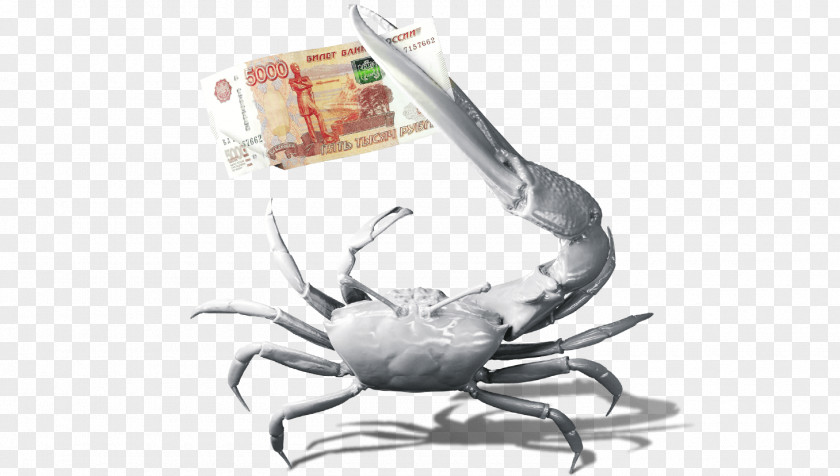Crab Pickpocketing Money Oʻgʻri Safe PNG