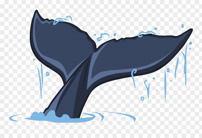 Dolphin Cartoon Portrait PNG