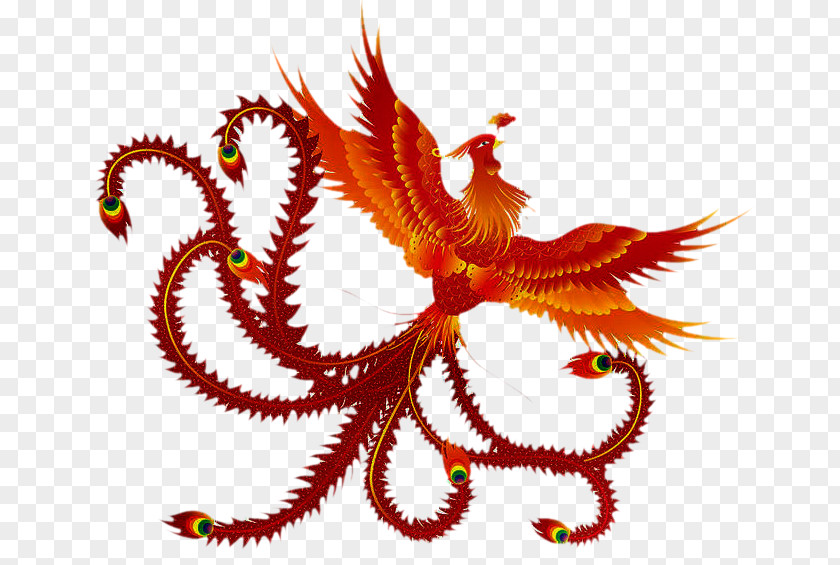 Phoenix Vermilion Bird Fenghuang County Tattoo PNG