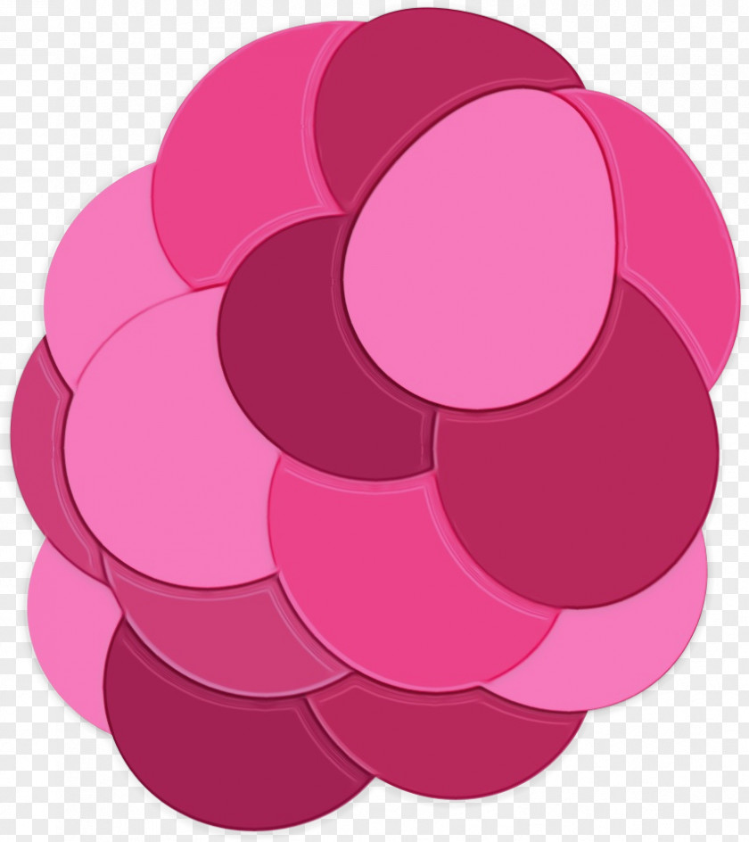 Plant Petal Pink Magenta Circle Purple PNG