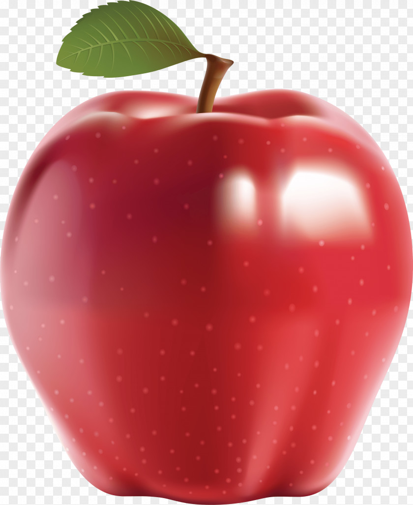 Red Apple Image IPod Touch Icon Format PNG