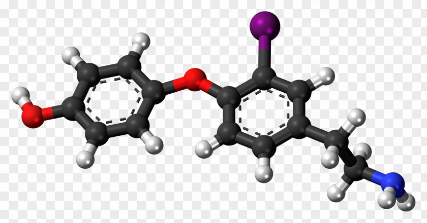 Tyrosine Ball-and-stick Model Amino Acid Chemistry Zwitterion PNG