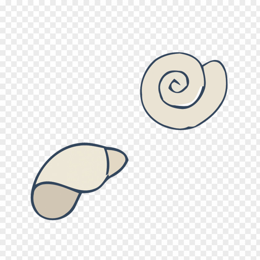 Vector Conch Shell Material PNG
