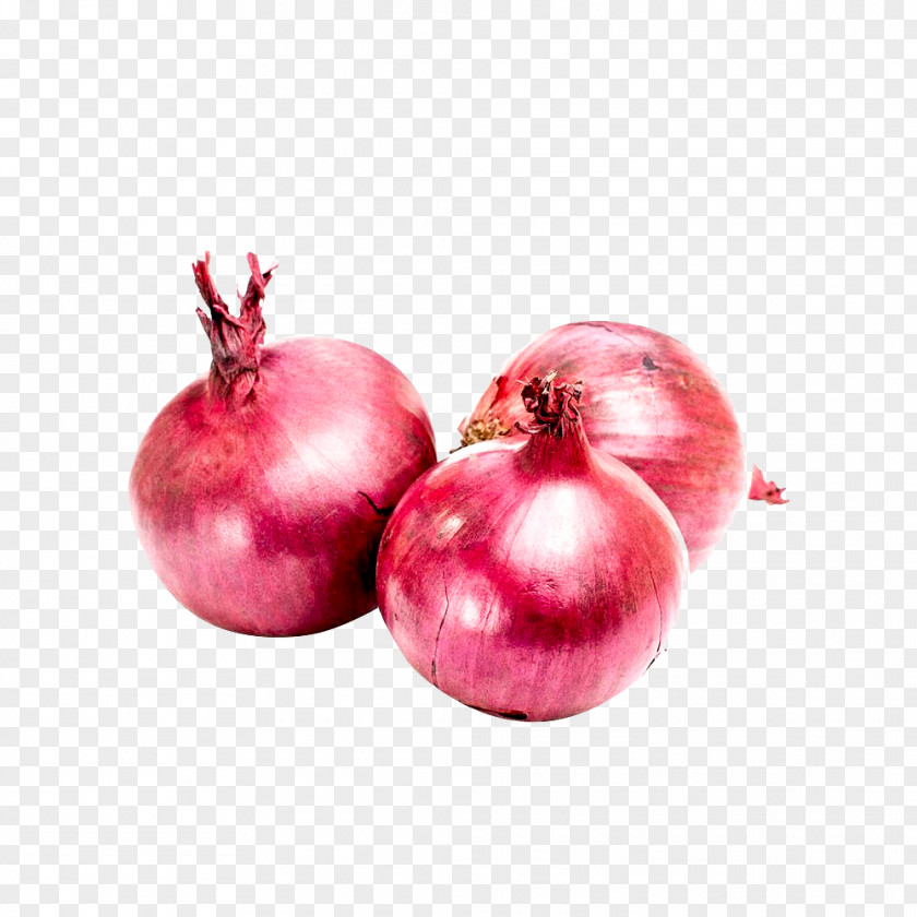 Vegetable Red Onion White Scallion Garlic PNG