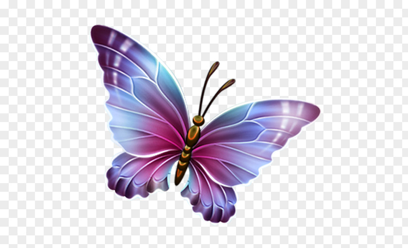 Butterfly Glasswing Clip Art Monarch PNG